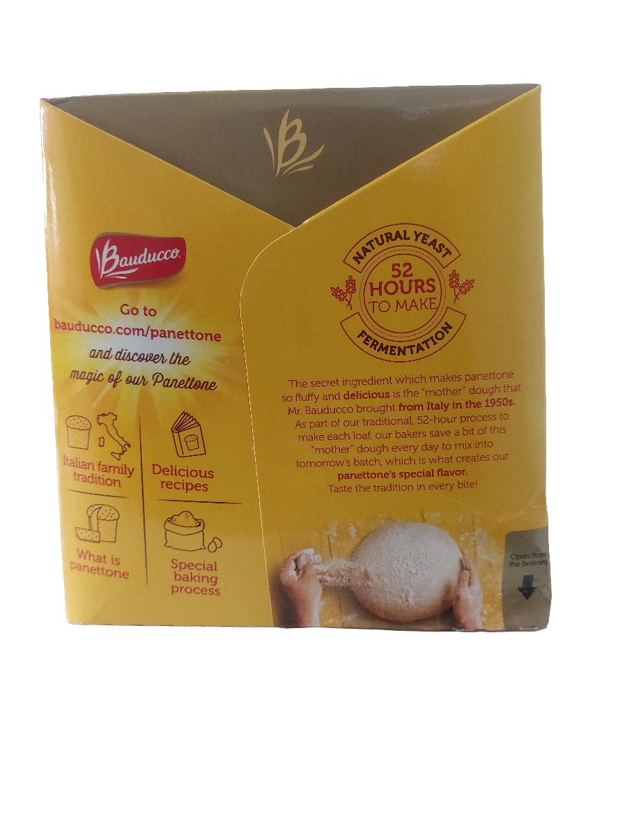 Panettone Clássico Frutas Bauducco 454g - Hola Brasil